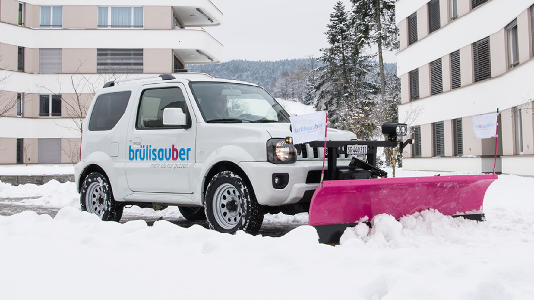 Bruelisauber Referenzfoto